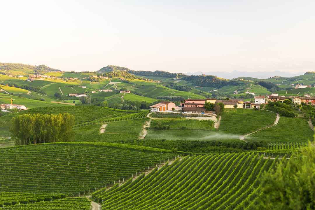 холмы и виноградники ланге пьемонт